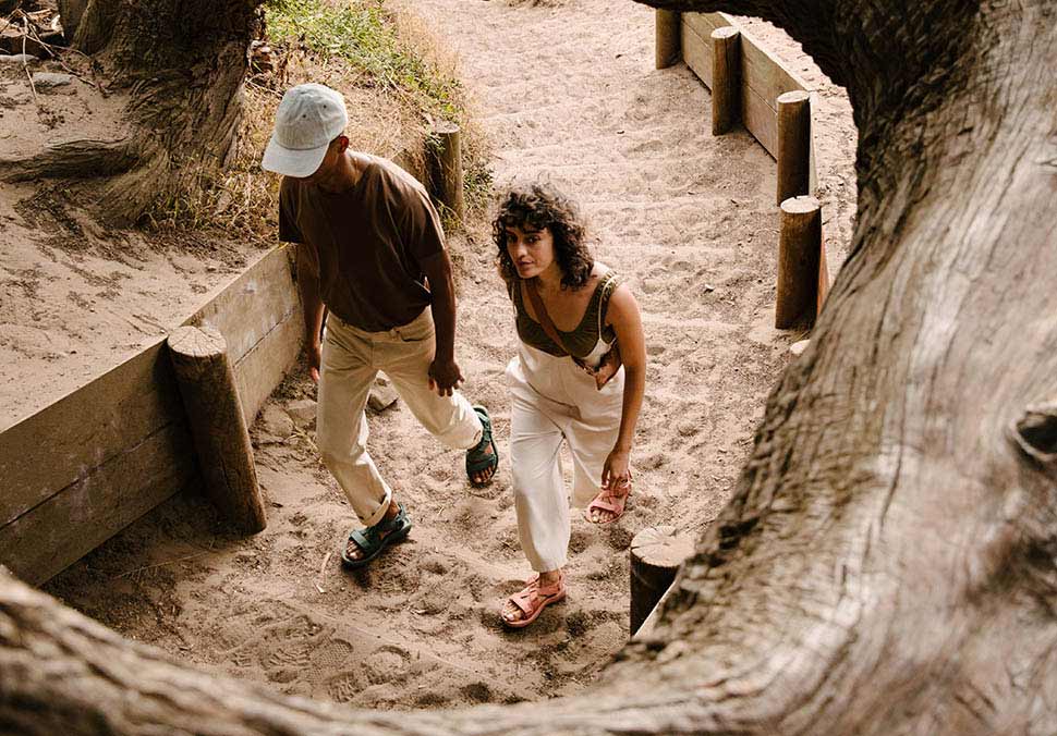 teva verge hurricane