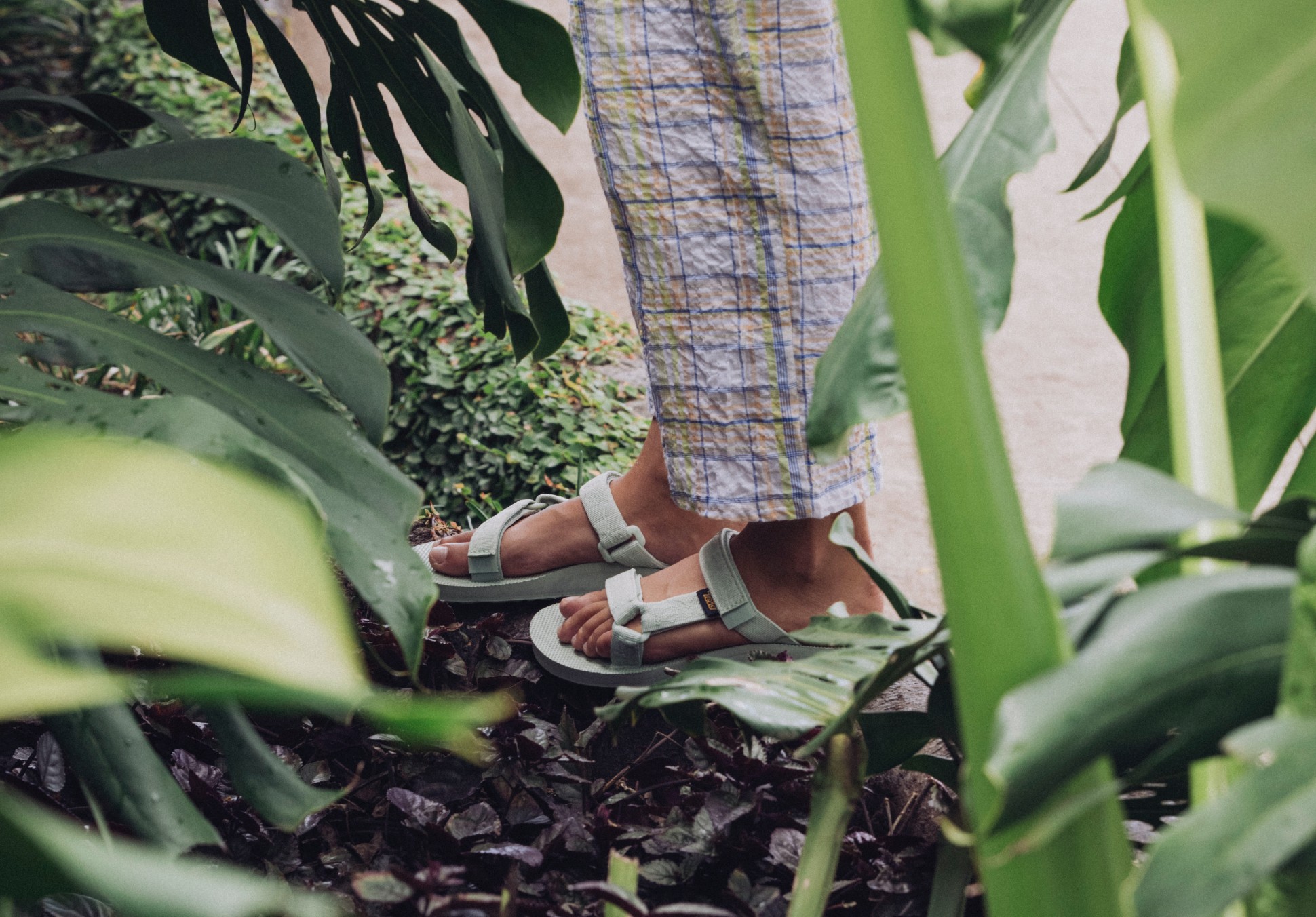 Green tevas hot sale
