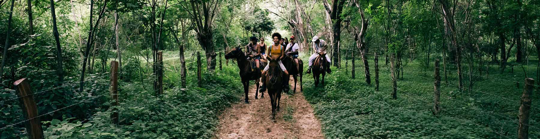 People on horseback riding through a tropical forest.