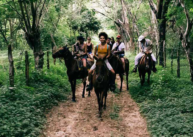 People on horseback riding through a tropical forest.