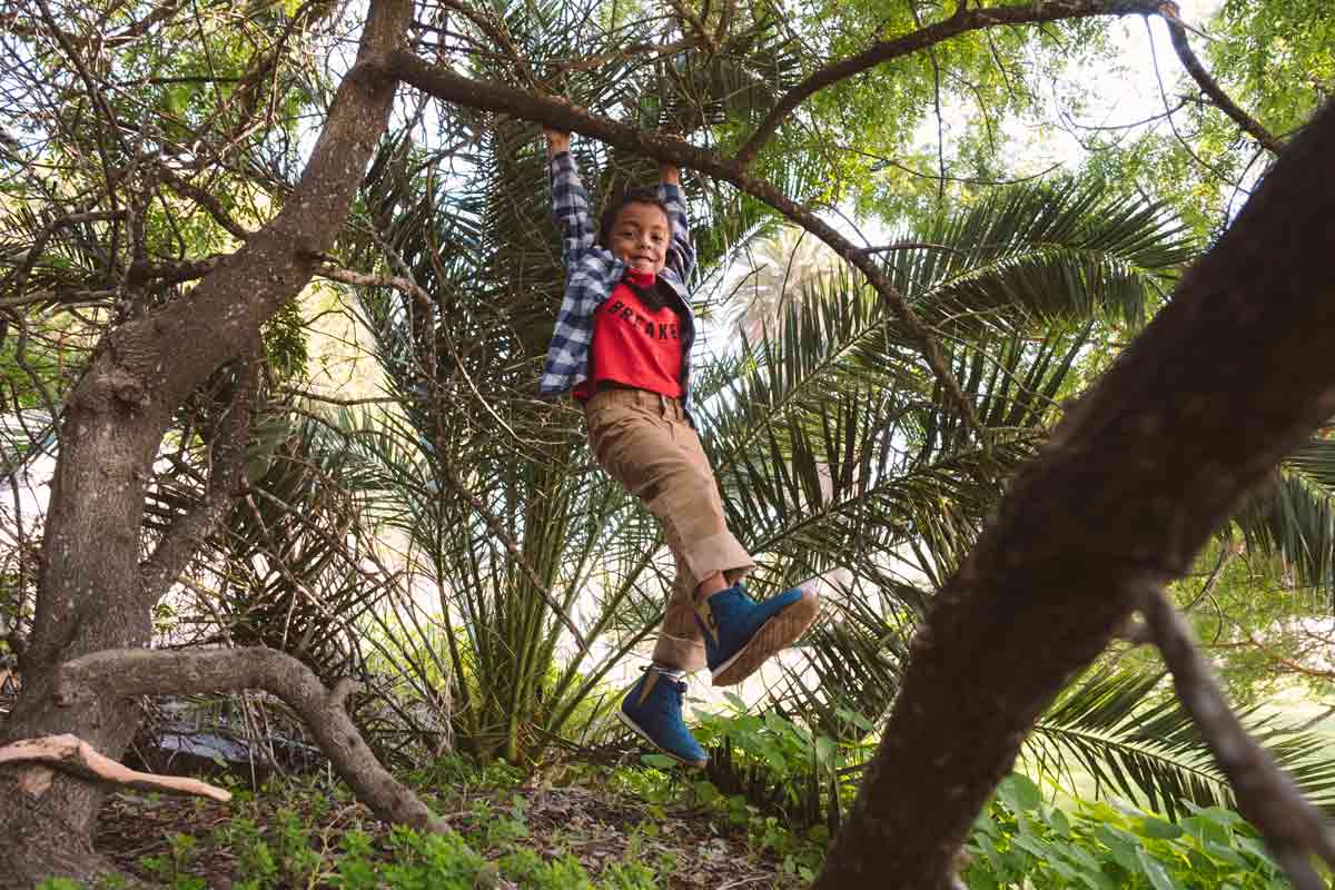 A child swinging on a tree branch.