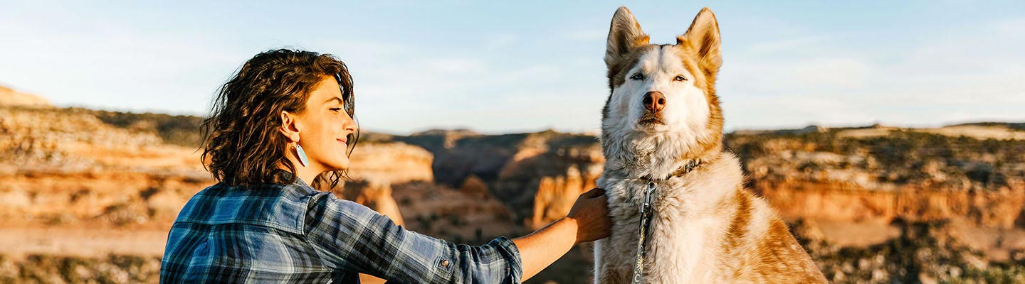 Teva dog collar hotsell