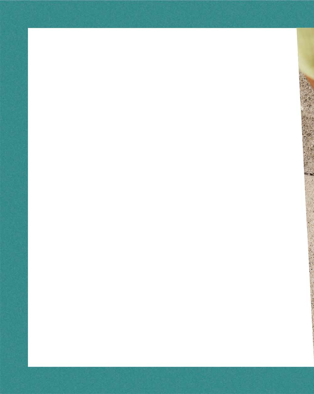 White background with teal border